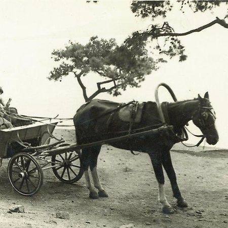 Orhan Kutbayin Evi Adalar Esterno foto