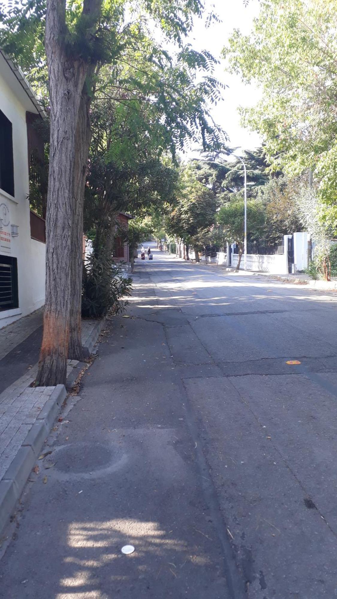 Orhan Kutbayin Evi Adalar Camera foto